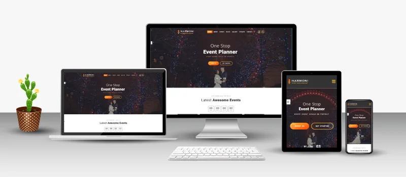 Party Hire Web Design Portfolio