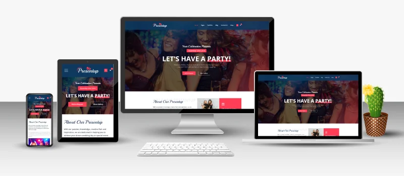 Party Hire Web Design Portfolio