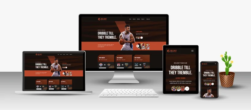 Sports Web Design Portfolio 04