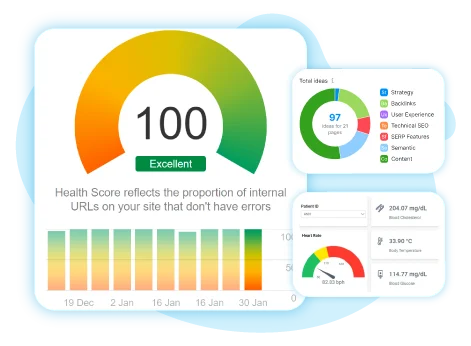 Website Health Check: Key Factors for Sports Website Success
