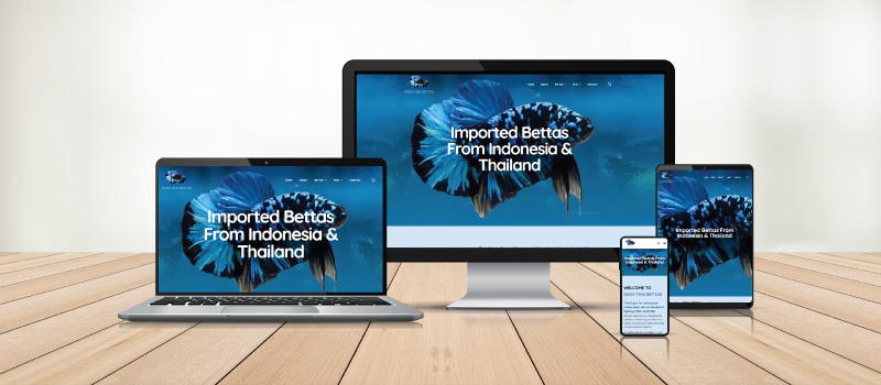 eCommerce website design portfolio example