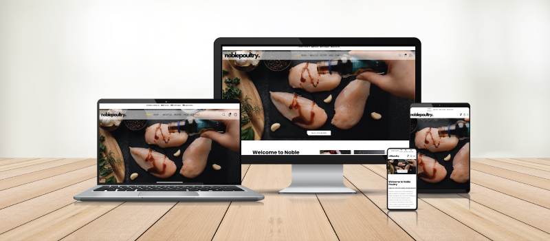 eCommerce website design portfolio example